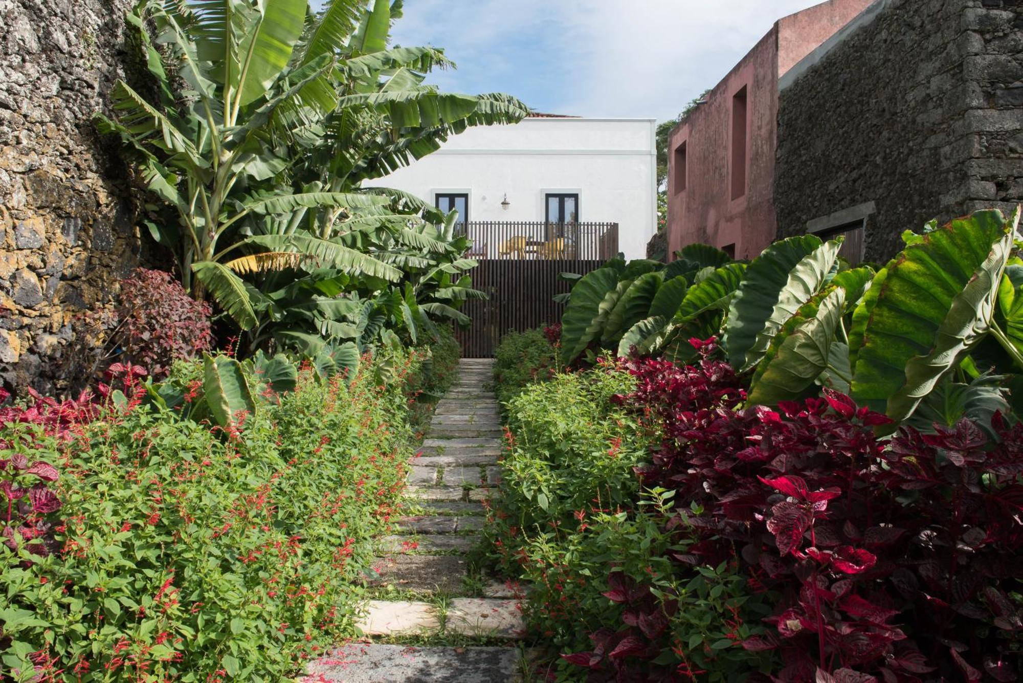 Green&Houses Ponta Delgada  Exterior photo